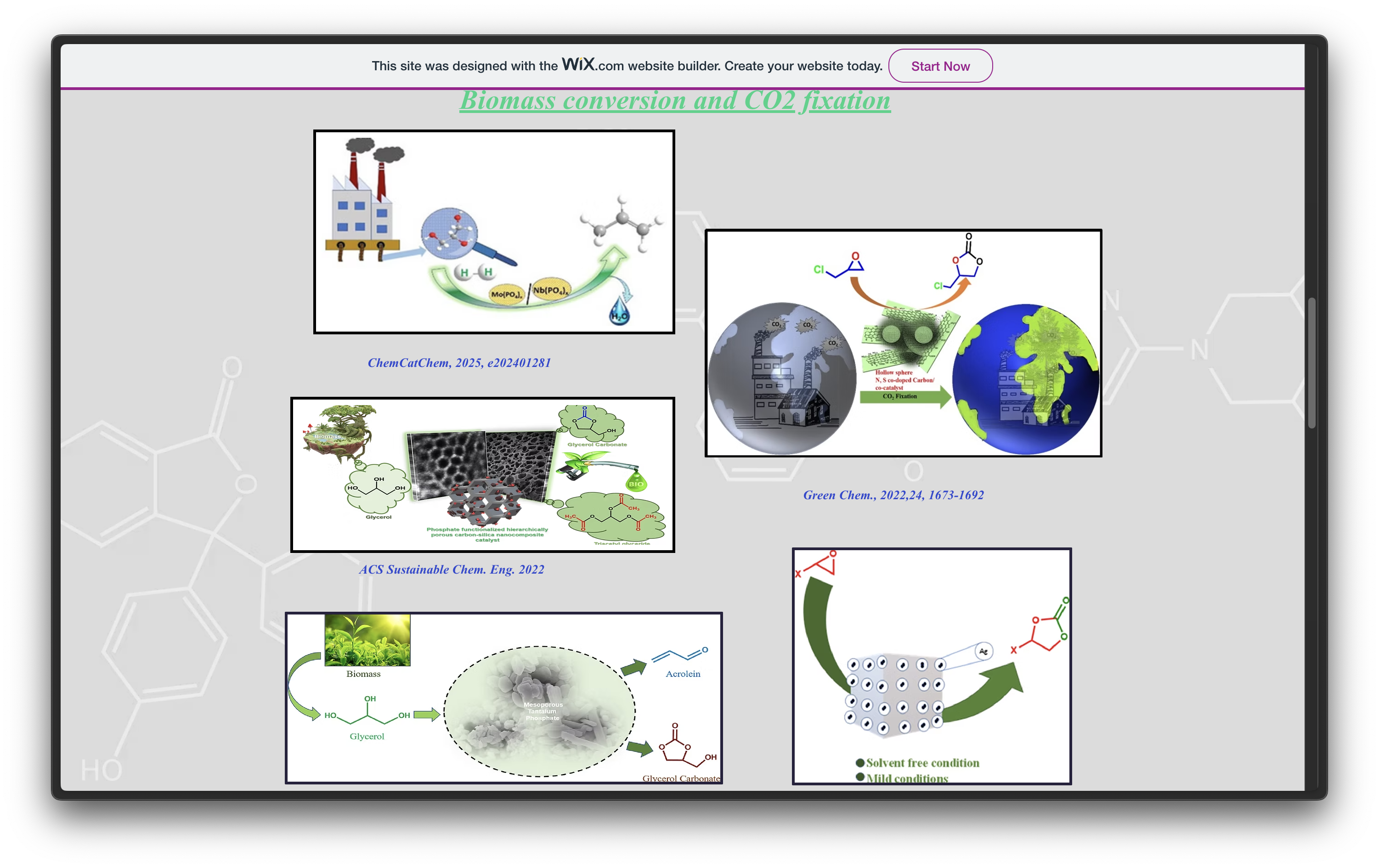 Research Image 5